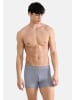 Sloggi Retro Short / Pant SLG Base Soft in Grau