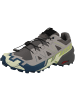 SALOMON Laufschuhe Speedcross 6 GTX in grau