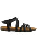 Plakton Sandale in schwarz