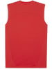 Puma T-Shirt "TeamFinal Training Jersey SL" in Rot