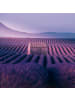 NOTIQUE Wandkalender 2027 mit 6-sprachigem Kalendarium in Provence - 30 x 30 cm