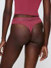 Triumph String Feel of Modal in SWEET MARSALA