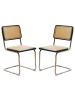 ABRIHOME Esszimmerstuhl in Schwarz Rattan mit Chrombeinen 2er Set