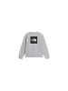 North Face Sweatshirt NF0A8F9WCQO1 Grau