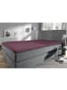 REDBEST Topper-Spannbettlaken Denver in aubergine