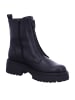 Gabor Stiefeletten/Boot in schwarz