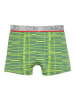 comazo Jungen Trunks in Lime