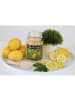 Woodbridge Duftkerze Woodbridge "Mediterranean Lemon"