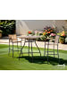 home24 Gartenbartisch Beeley in Tischplatte: AkazieGestell: Schwarz