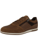 Geox Sneaker low U Renan B in braun