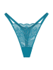 Triumph String Red Label Crazy Stupid Love in ARIZONA BLUE
