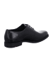 LLOYD Business Schnürschuhe in Schwarz