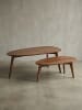 KADIMA DESIGN Design Couchtisch 2er Set Massivholz Wohnzimmertisch Braun in Massivholz