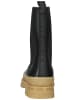 Steve Madden Stiefelette Schwarz/Beige