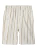 name it Shorts in Jet Stream