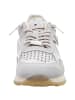 Cetti Sneaker Low in grau