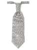 DIGEL Plastron und Einstecktuch in hellgrau marine - 0001
