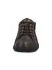Solidus Sneaker in braun
