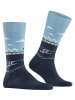 Falke Socken Henley Herren in Marine