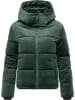 ragwear Steppjacke Roobie Velvet YOUMODO in Pine Green
