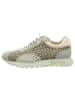 Hispanitas Sneaker Low in grün