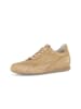 Gabor Sneaker low in braun