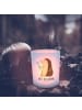 Mr. & Mrs. Panda Outdoor Windlicht Igel Blumen mit Spruch in Transparent