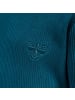 Hummel Kinder Longsleeve "Sami T-Shirt Longsleeve" in Blau