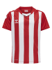 Hummel T-Shirt Hmlcore Kinder in TRUE RED/WHITE