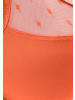 nuance Minimizer-BH in orange
