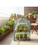 relaxdays Balkongewächshaus in Grün/ Transparent - (B)59 x (H)95 x (T)39 cm