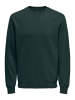 ONLY & SONS Sweatshirt Ceres in Dunkelgrün