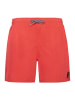 Protest " CULTURE JR in Sunburst
