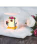 Mr. & Mrs. Panda Windlicht Milchglas Pinguin Kokosnuss ohne Spruch in Transparent