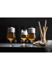 Schott Zwiesel 4er Set Craft Beer Gläser Beer Basic 0,3 Liter in transparent