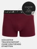 Tazzio Boxershorts 6er-Pack "BS1000" in Bordeaux
