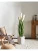 Beliani Kunstpflanze PAMPAS GRASS in Grün/Weiß/Schwarz - (W) 50 x (H) 130 x (L) 50 cm