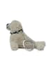 SCHIETWETTER Robbe "Bosse" in offwhite