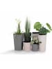 Siena Garden Pflanzgefäß LOCON GROOVE 25 cm Ø 25x46,5 cm in Creme/Schwarz in Creme/Schwarz