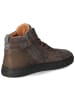 bisgaard High Sneaker CHARLES in Braun