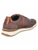 Bullboxer Low Sneaker in braun