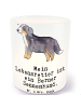 Mr. & Mrs. Panda Kerze Berner Sennenhund Lebensretter mit Spruch in Transparent