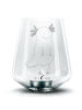 Mr. & Mrs. Panda Windlicht Glas Axolotl Glücklich ohne Spruch in Transparent