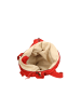 Gave Lux Schultertasche in RED