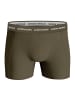 Björn Borg Boxershort 5er Pack in Grün