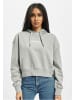 Dickies Dickies Kapuzenpullover in grey melange