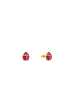 Amor Ohrstecker Gold 375/9 ct in Rot