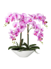 Creativ green Deko-Orchidee Phalaenopsis in lila