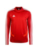 adidas Performance Longsleeve Tiro 19 in rot / weiß