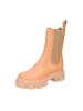 phenumb Stiefelette in braun